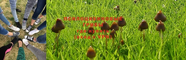 бошки Вязники
