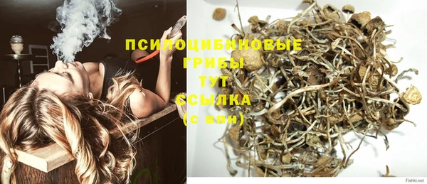 гидра Горно-Алтайск