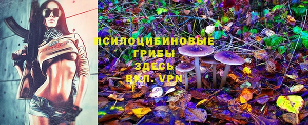 гидра Горно-Алтайск